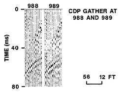../../_images/CMP_gather.gif