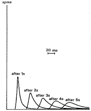 ../../_images/attenuation.gif