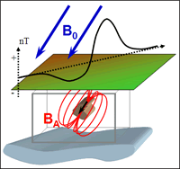 ../../_images/measurements.gif