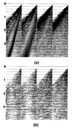 ../../_images/shallow_marine_records.gif